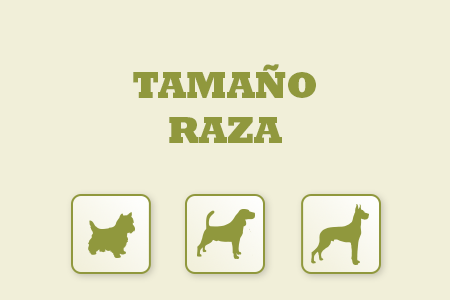 Alimentación natural para perro adaptada al tamaño específico de la raza